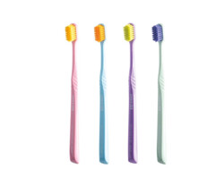 Prophy Brushes